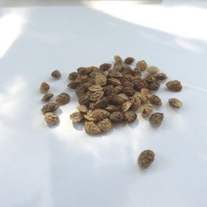 Mélange I-Sol Pronectar sac de 10 kg