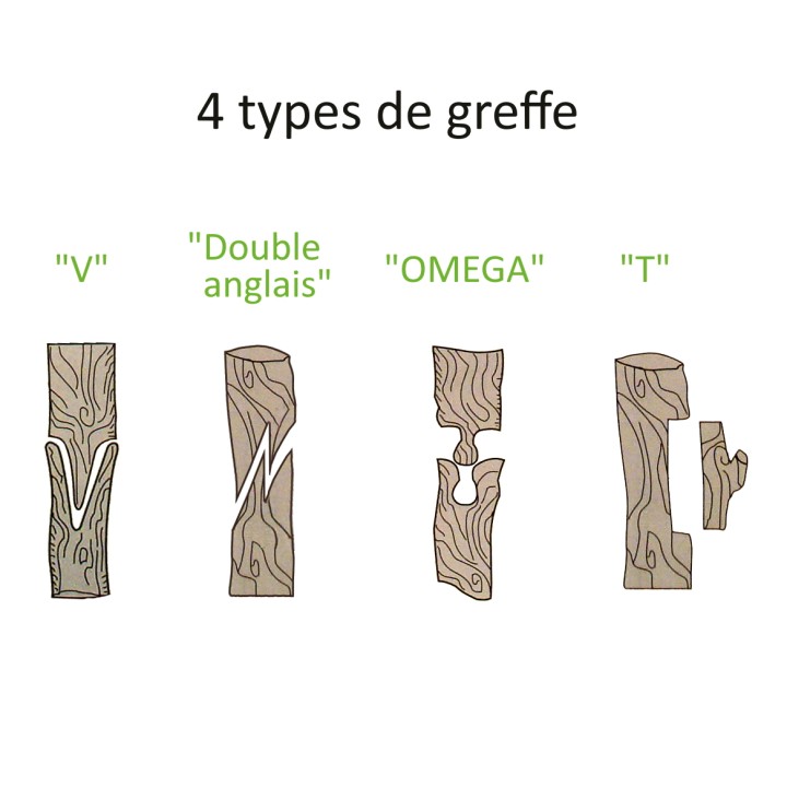 Pince à greffer italienne + 4 lames