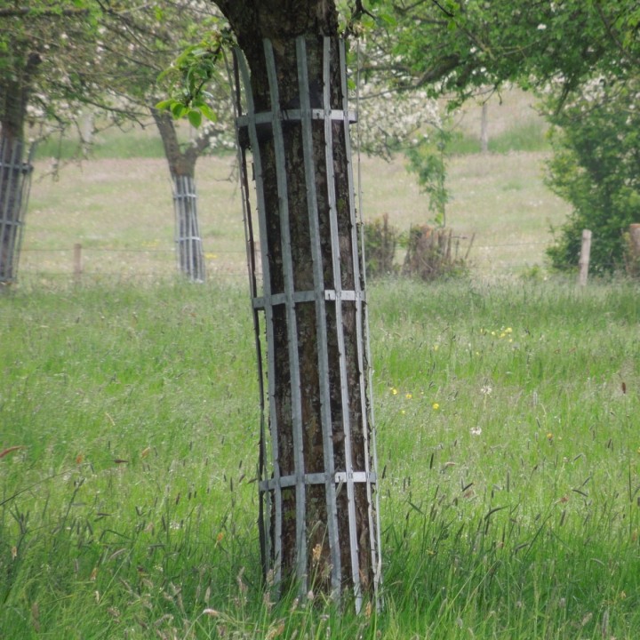 Corset métallique 6 barres verticales, pour protection des troncs, haut. 170 cm - Pack de 5