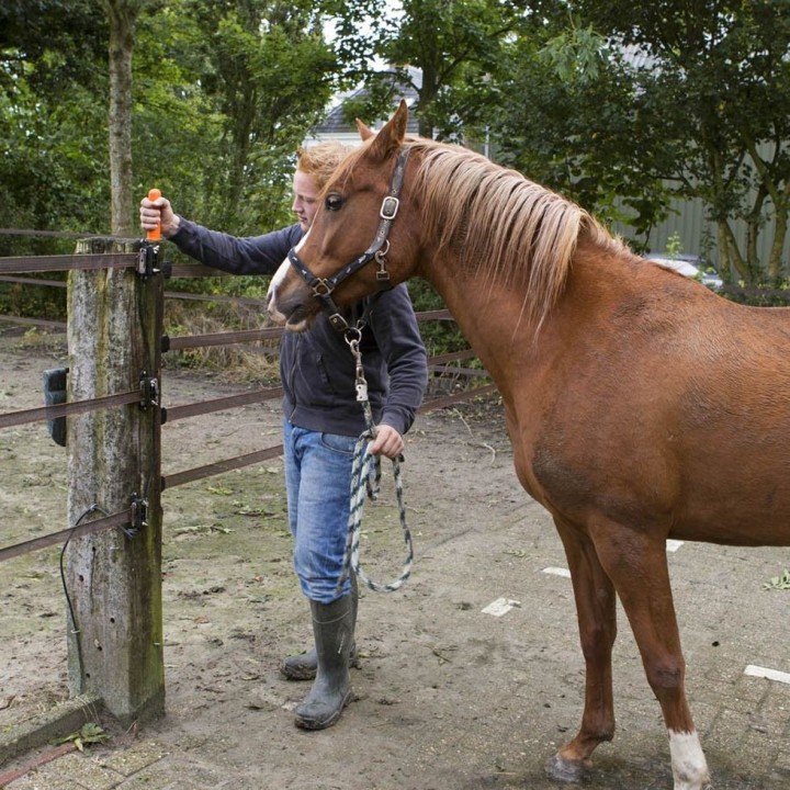 Kit barrière 4 rubans 40 mm long. 6 m Gallagher