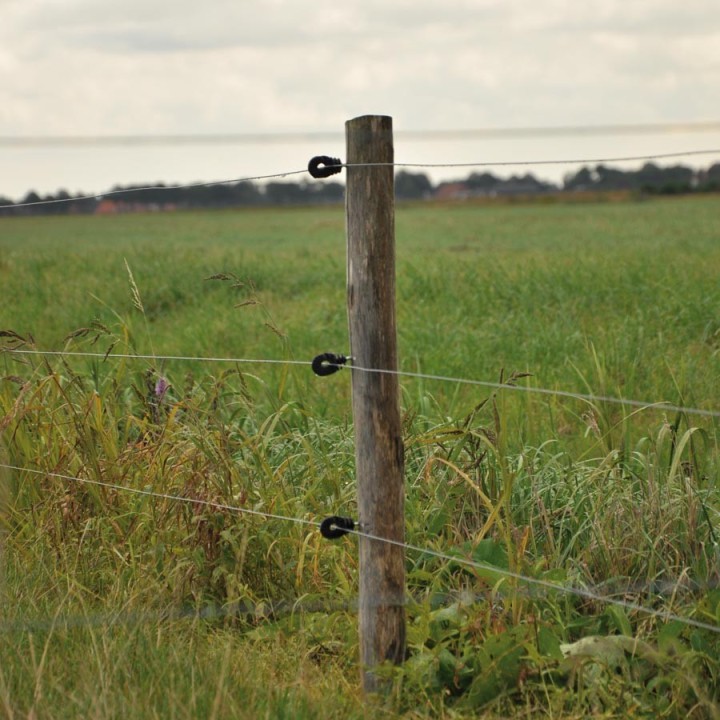 Isolateur à vis BS bois Super