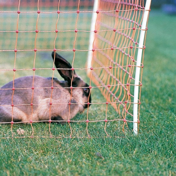 Filet lapins et animaux domestiques orange haut. 65 cm, rouleau de 50 m Gallagher