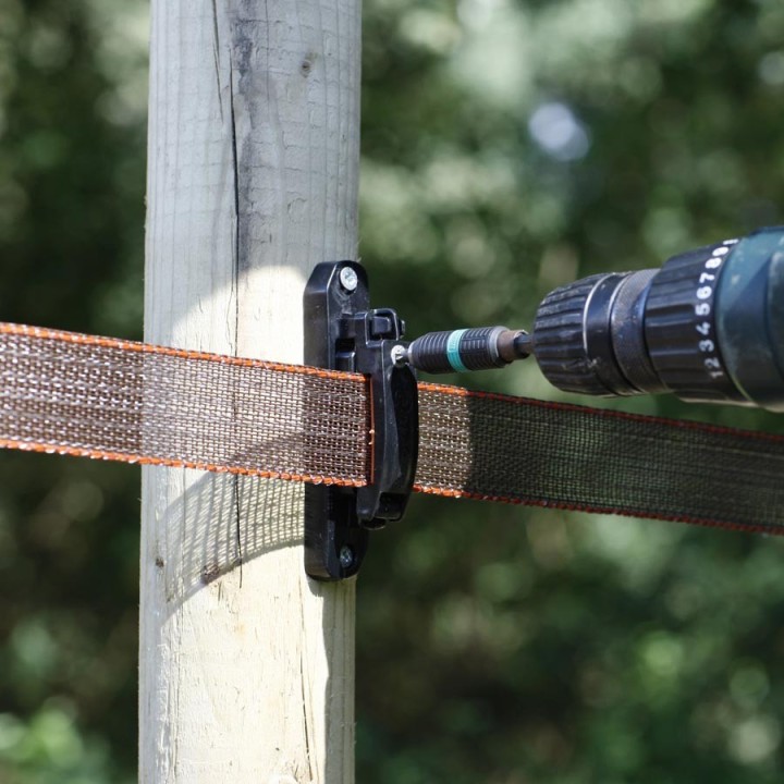Isolateur ruban jusqu'à 40 mm TurboLine Gallagher