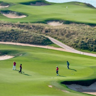 Gazon Professionnel Signature 10kg - 2000m² pour green de golf