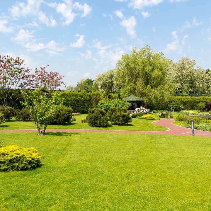 Enherbement Parc 10kg - 400m² - semences professionnelles