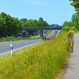 Enherbement Accotements 20kg - 800m² - semences professionnelles