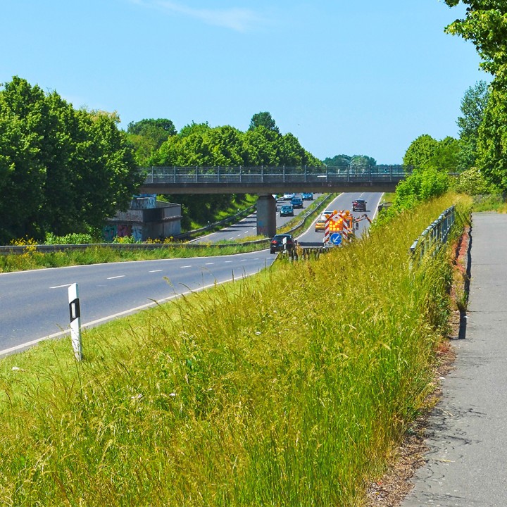 Enherbement Accotements 20kg - 800m² - semences professionnelles