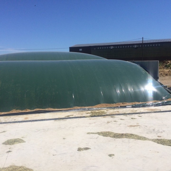 Film d'ensilage Premium métallocène 115µ SILOGREEN noir vert - Plastika Kritis - méga bobine XXL 150 m