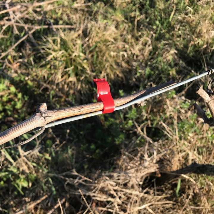 Pince à lier, tuteurer, palisser ruban Haute Qualité