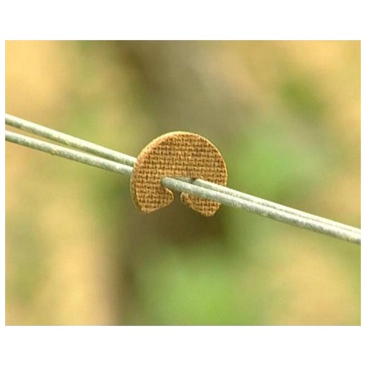Agrafes bois biodégradable Fenox pour palissage