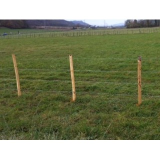Piquet Châtaignier 2m50 Scié non écorcé - Circonférence 26 à 30cm