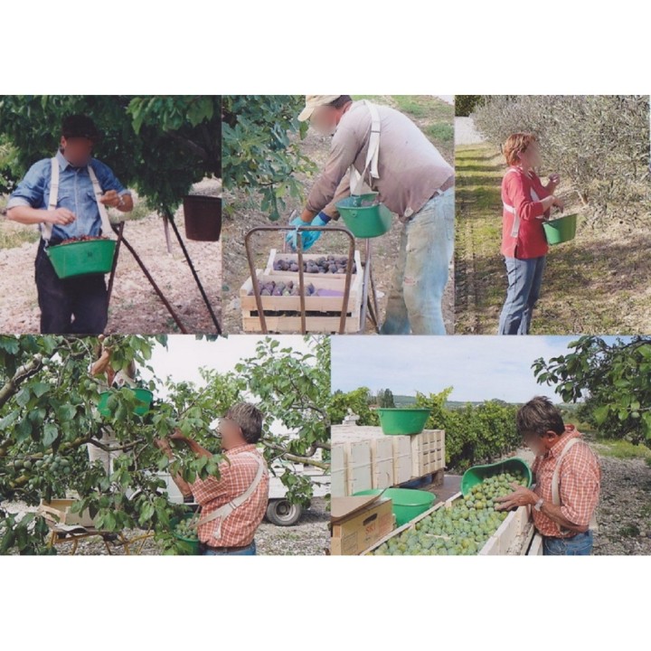 Panier K1 Le Kangourou polypropylène - 10 litres - vert