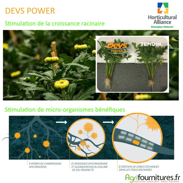 Biostimulant racinaire Devs Power Horticultural Alliance - Bidon 20L