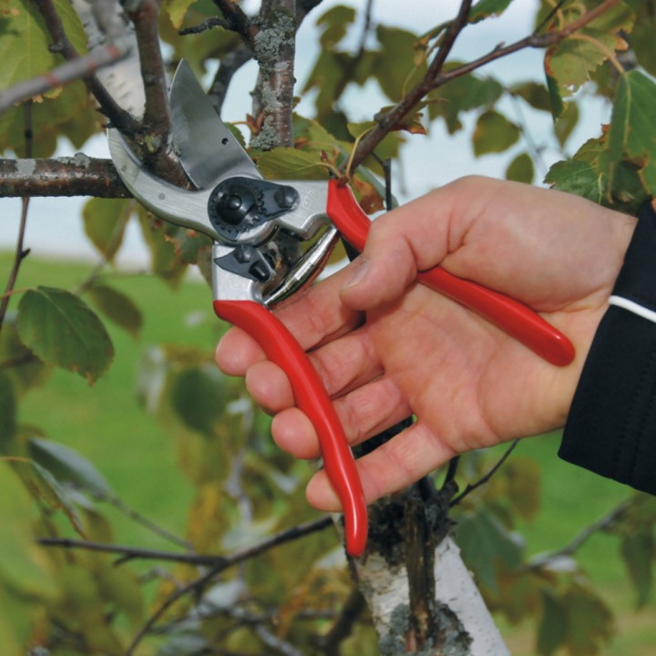 Sécateur Alu Poignée Fixe Droitier Taille L FELCO 2