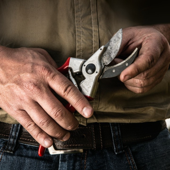 Sécateur Alu Poignée Fixe Droitier Taille L FELCO 2