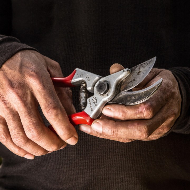 Sécateur Alu Poignée Fixe Droitier Taille L FELCO 4