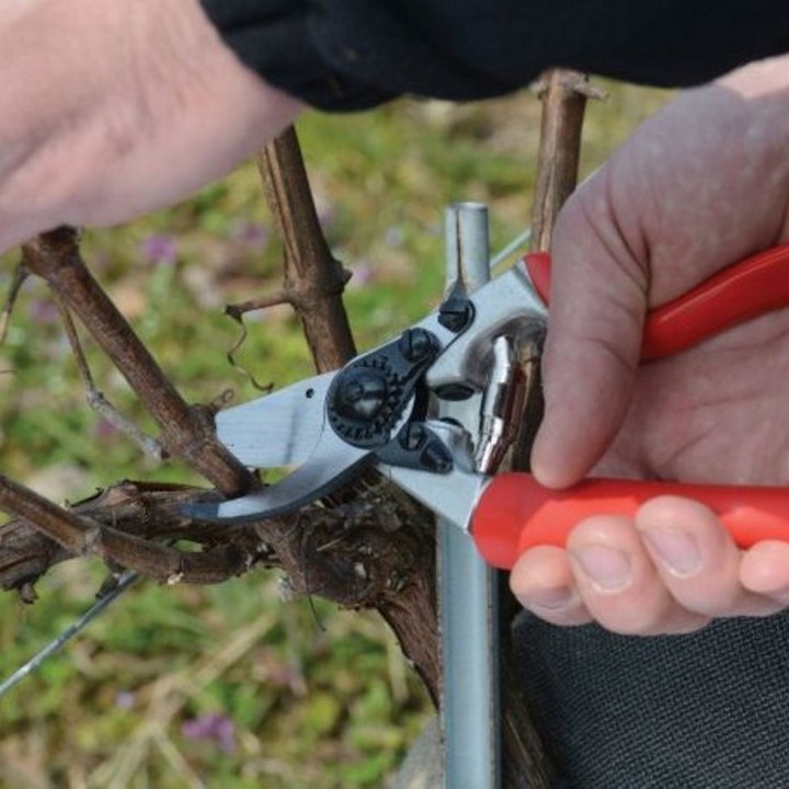Sécateur Alu Poignée Tournante Ergo Droitier Taille L FELCO 7