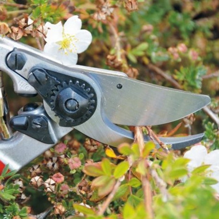 Sécateur Alu Poignée Fixe Ergo Gaucher Taille L FELCO 9