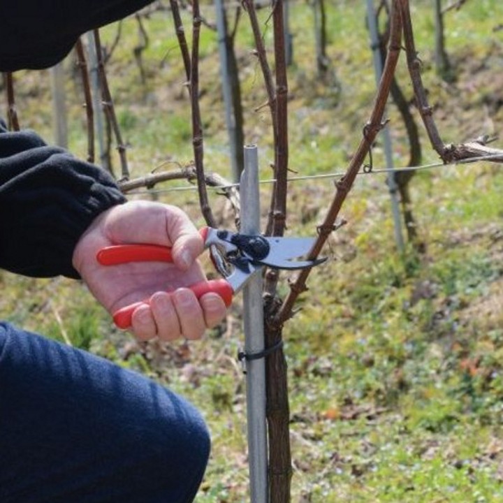 Sécateur Alu Poignée Tournante Ergo Gaucher Taille M FELCO 17