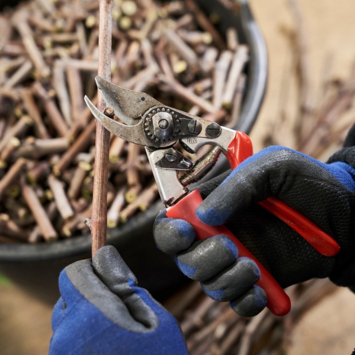 Sécateur Alu Poignée Tournante Ergo Droitier Taille S FELCO 15