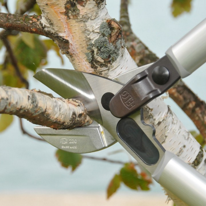 Sécateur Elagueur démultiplié à 2 mains en Aluminium 80cm Enclume Plate FELCO 230