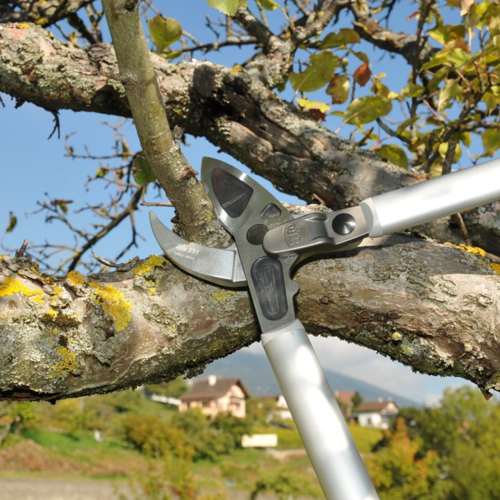 Sécateur Elagueur démultiplié à 2 mains en Aluminium 80cm Enclume Courbe FELCO 231