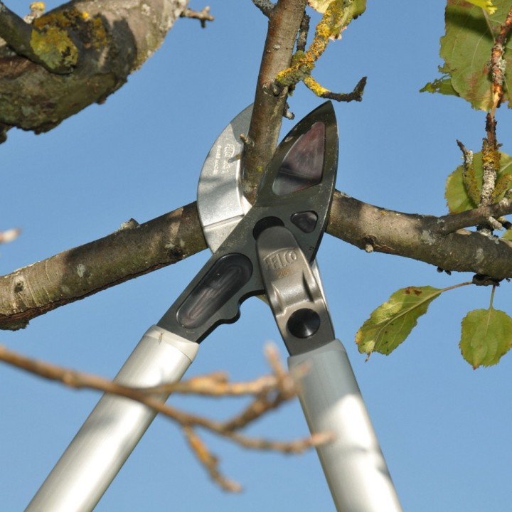 Sécateur Elagueur démultiplié à 2 mains en Aluminium 80cm Enclume Courbe FELCO 231