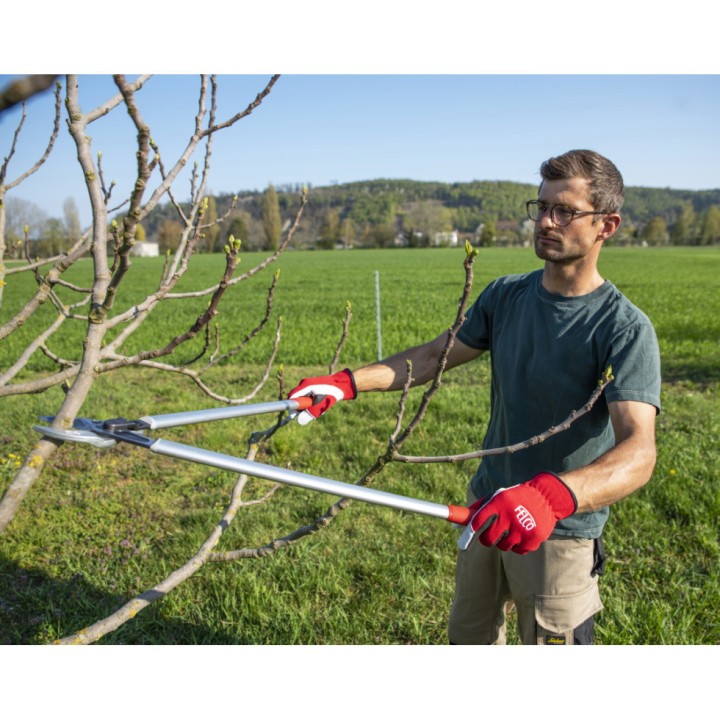 Sécateur Elagueur démultiplié à 2 mains en Aluminium 80cm Enclume Courbe FELCO 231
