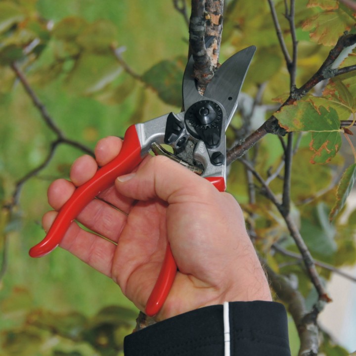 Sécateur Alu Poignée Fixe Ergo Droitier Taille L FELCO 8