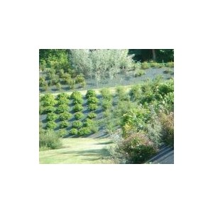 Toile Paillage / Toile Hors-Sol Haute Résistance 130 gr /m2 Rouleau de 100m