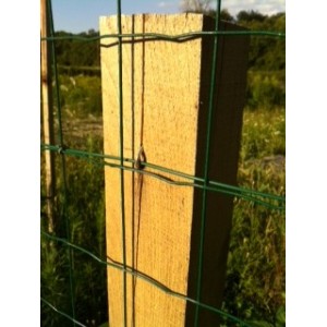 Crampillons Lisses Galvanisation Riche boite de 3 kg