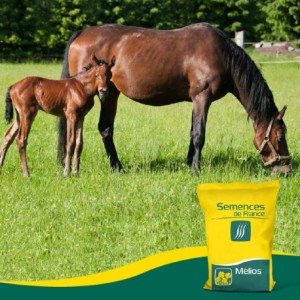 Mélange MP Cheval LABEL 100 sac de 15 kg