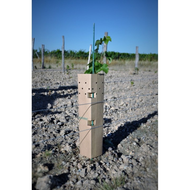 Manchons de protection biodégradables Bisodisac 356 gr/m² pour vignes et arbres, durée de vie 24 à 36 mois