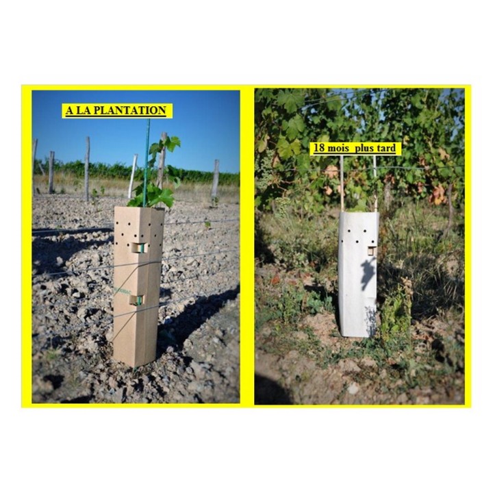 Manchons de protection biodégradables Bisodisac 356 gr/m² pour vignes et arbres, durée de vie 24 à 36 mois