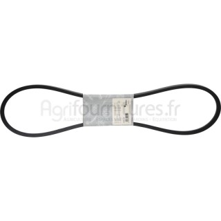 Courroie pour pompe de direction adaptée aux tracteurs Trac 65/70, 700, 800, 900