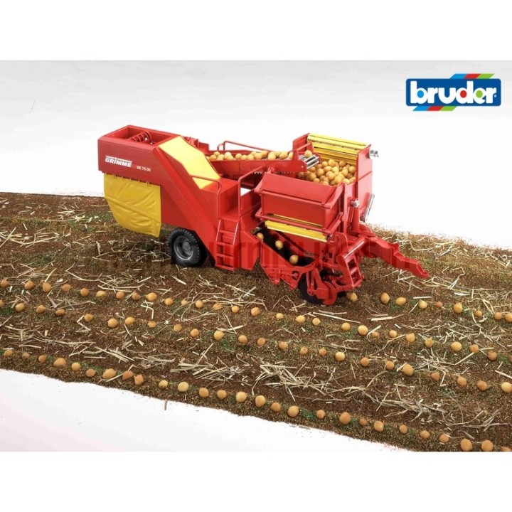 Arracheuse de pommes de terre Grimme SE 75 Bruder