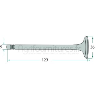 Soupape d'admission modèles D 130,D 131 L,D 132 L,GT 130 par Fahr
