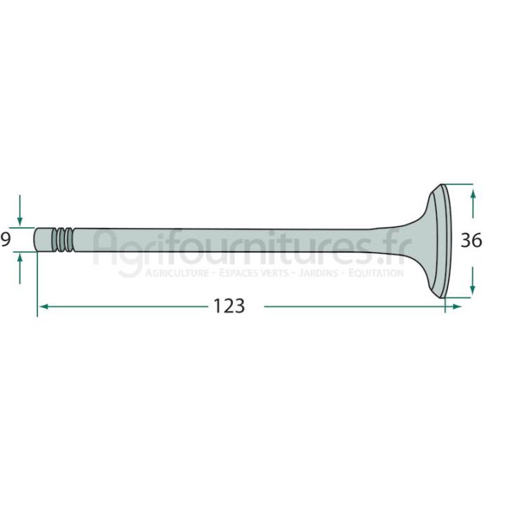 Soupape d'admission modèles D 130,D 131 L,D 132 L,GT 130 par Fahr