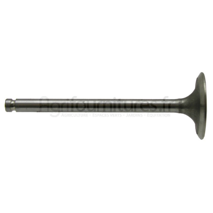 Soupape d'admission, pour siège à 35° modèles MF 135,MF 148 par Massey Ferguson