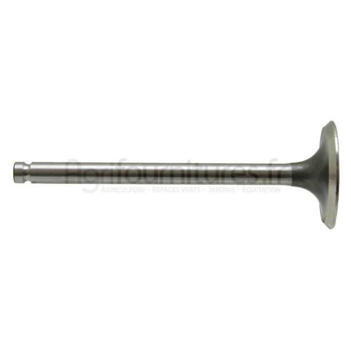 Soupape d'admission, pour siège à 45° modèles MF 135,MF 148 par Massey Ferguson