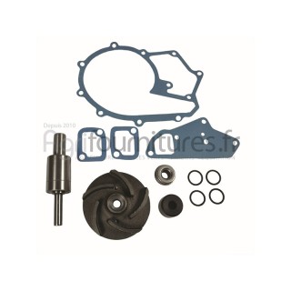 Jeu de réparation de pompe à eau Bepco 26/131-24 pour tracteur