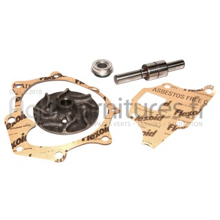 Jeu de réparation de pompe à eau Bepco 24/131-17 pour tracteur industriel