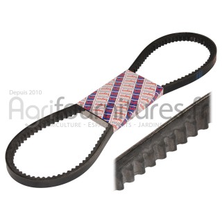 Paire de courroies trapézoïdales 13 x 1525 la Bepco 30/144-36 pour tracteur