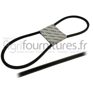 Courroie trapézoïdale 13 x 1268 la Bepco 30/144-4