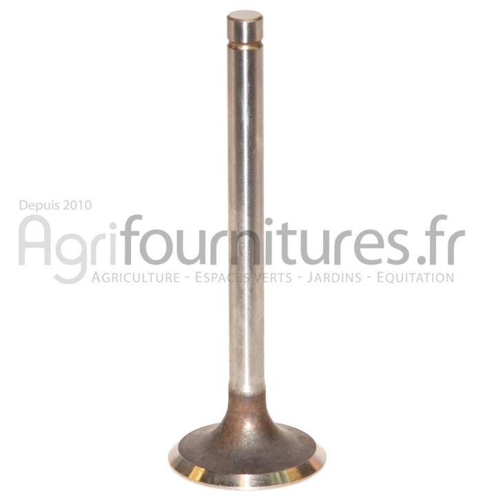 Soupape d'admission Ø 44 x 5.9 mm - l 129.5 mm - 45° Bepco 37/Z69010555 pour tracteur