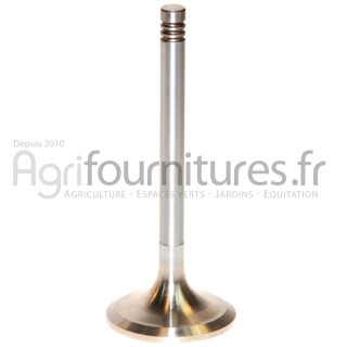 Soupape d'admission Ø 47 x 9 mm - l 117 mm - 30° Bepco 28/42-44 pour tracteur