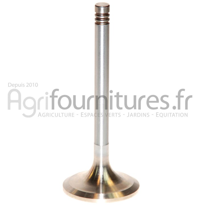 Soupape d'admission Ø 47 x 9 mm - l 117 mm - 30° Bepco 28/42-44 pour tracteur