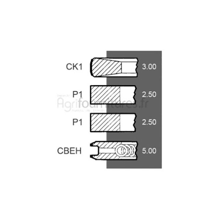 Jeu de segments Ø 100 mm - std Bepco 21/34-133 pour tracteur