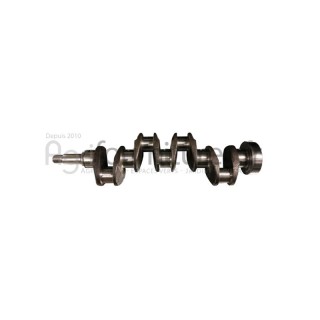 Vilebrequin forge Bepco 25/1-54/NU