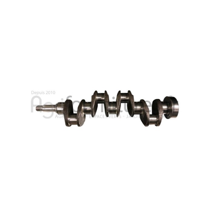 Vilebrequin forge Bepco 25/1-54/NU